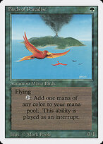 Birds of Paradise