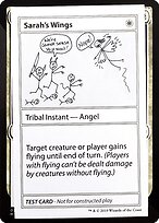 Sarah's Wings