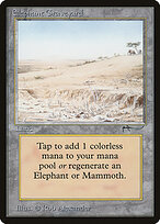 Elephant Graveyard