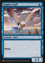 Zephyr Gull