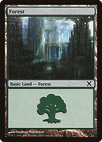 Forest
