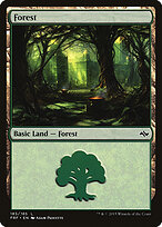 Forest