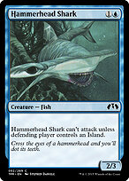 Hammerhead Shark