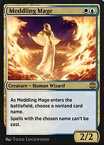 Meddling Mage