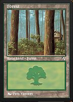 Forest
