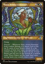 Nael, Avizoa Aeronaut