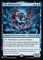 The Mindskinner