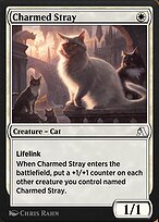 Charmed Stray