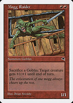 Mogg Raider