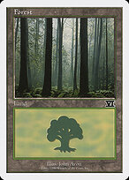 Forest