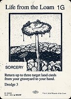 Life from the Loam