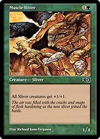 Muscle Sliver