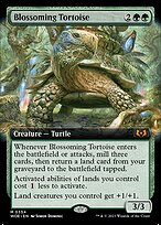 Blossoming Tortoise