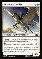 Valkyrior Skyrider