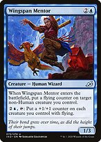 Wingspan Mentor