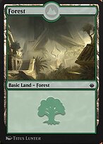 Forest