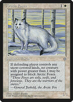 Arctic Foxes