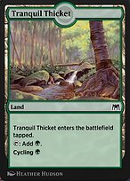 Tranquil Thicket