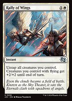 Rally of Wings