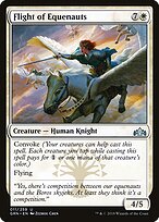 Flight of Equenauts