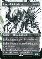 Evolved Spinoderm