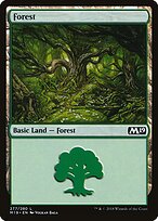 Forest