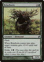Briarhorn