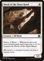 Monk of the Open Hand