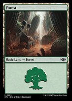 Forest