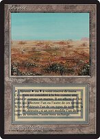 Scrubland