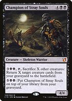 Champion of Stray Souls