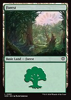 Forest