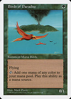 Birds of Paradise