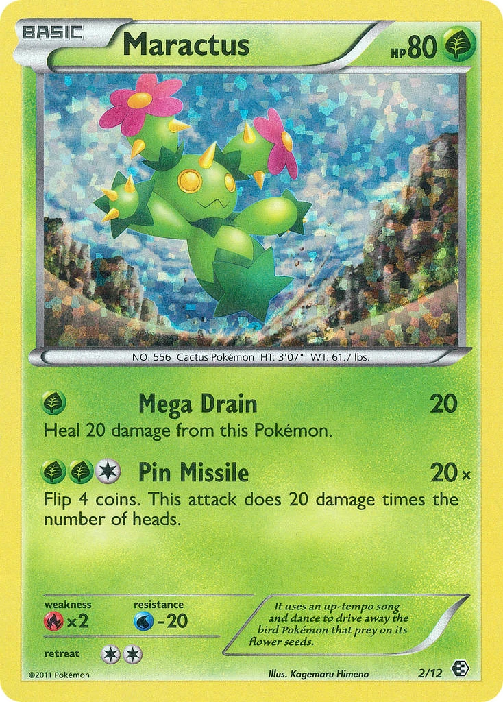 Maractus 2/12