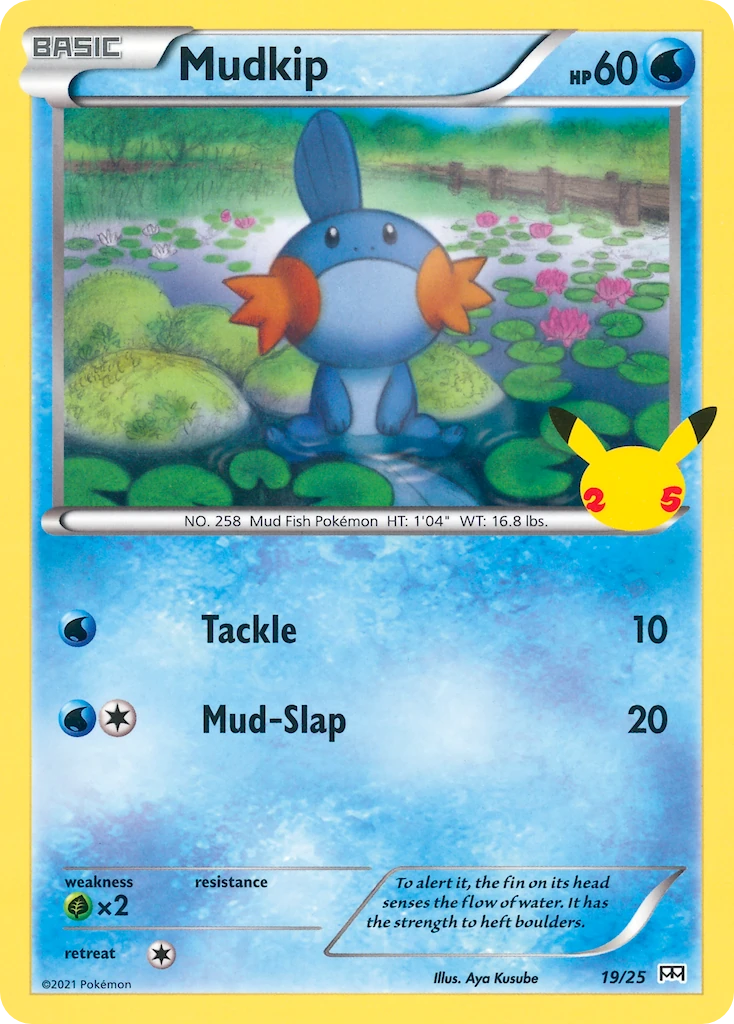 Mudkip 19/25