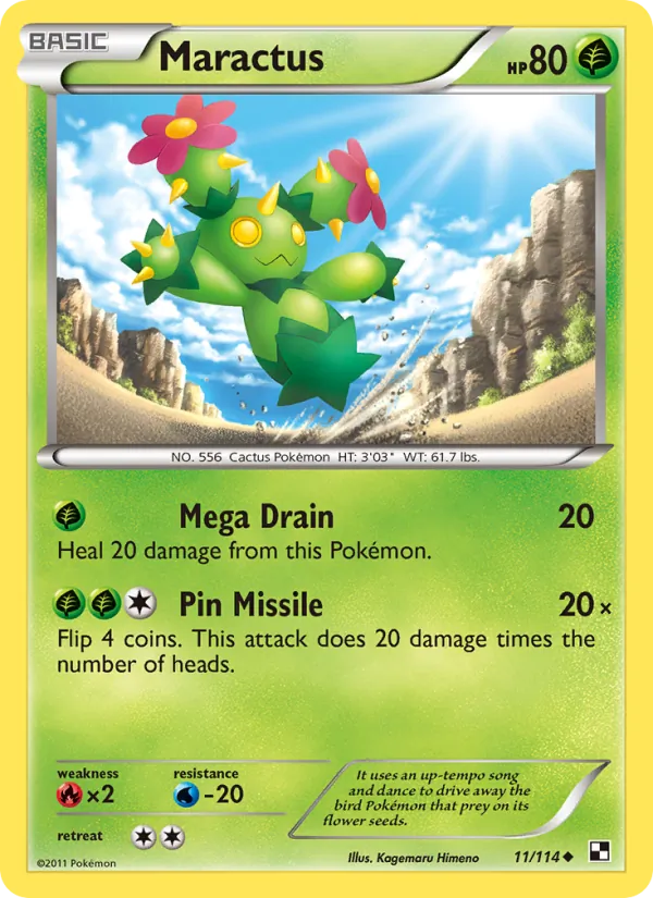Maractus 11/114