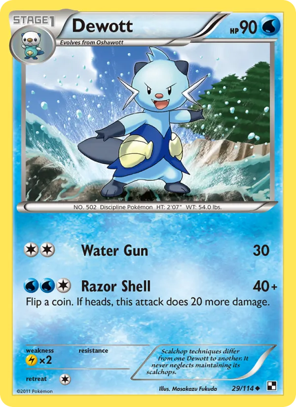 Dewott 29/114