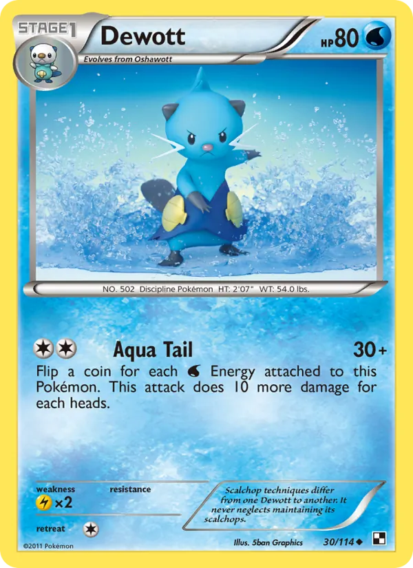 Dewott 30/114