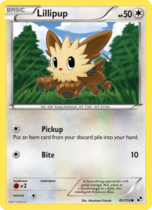 Lillipup 80/114