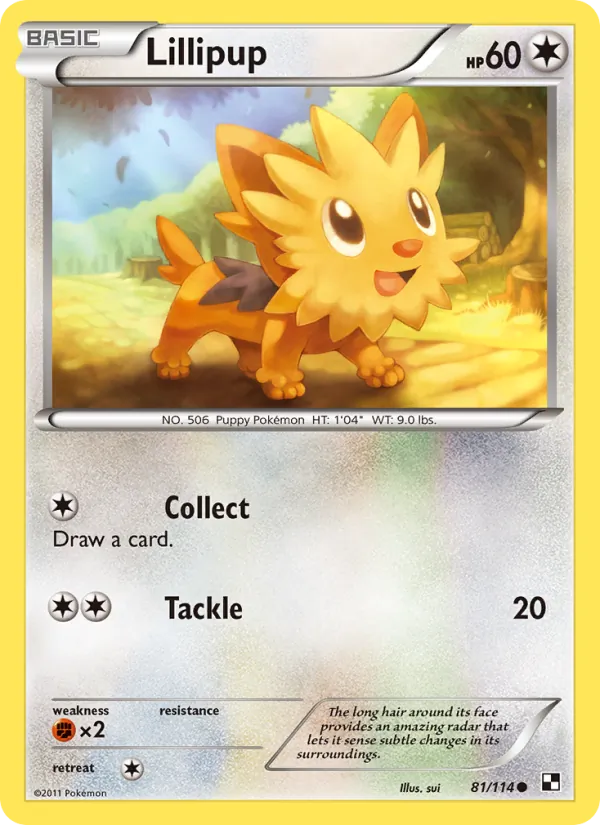 Lillipup 81/114
