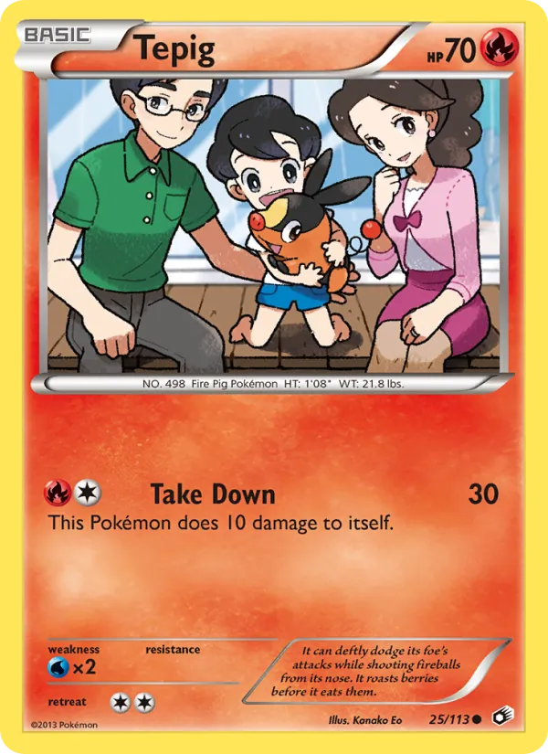 Tepig 25/113