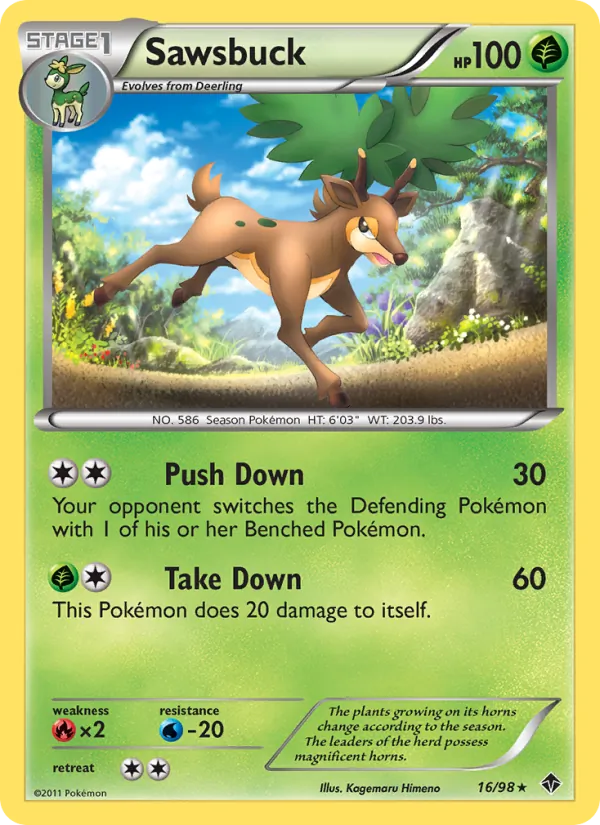 Sawsbuck 16/98