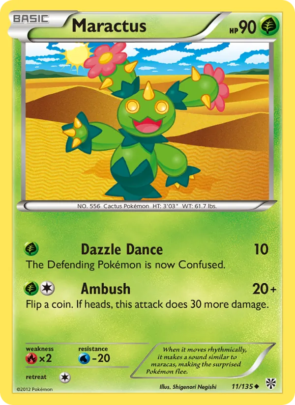 Maractus 11/135