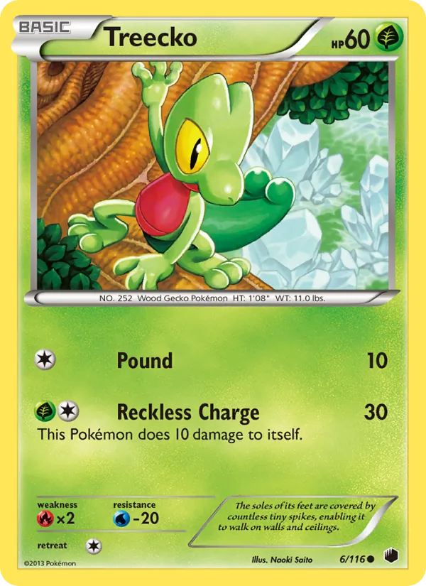 Treecko 6/116