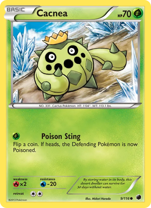 Cacnea 9/116
