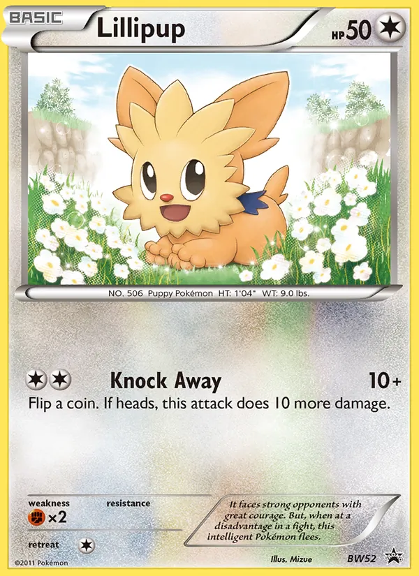 Lillipup BW52/101