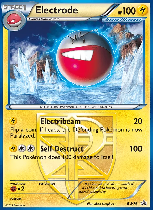 Electrode BW76/101