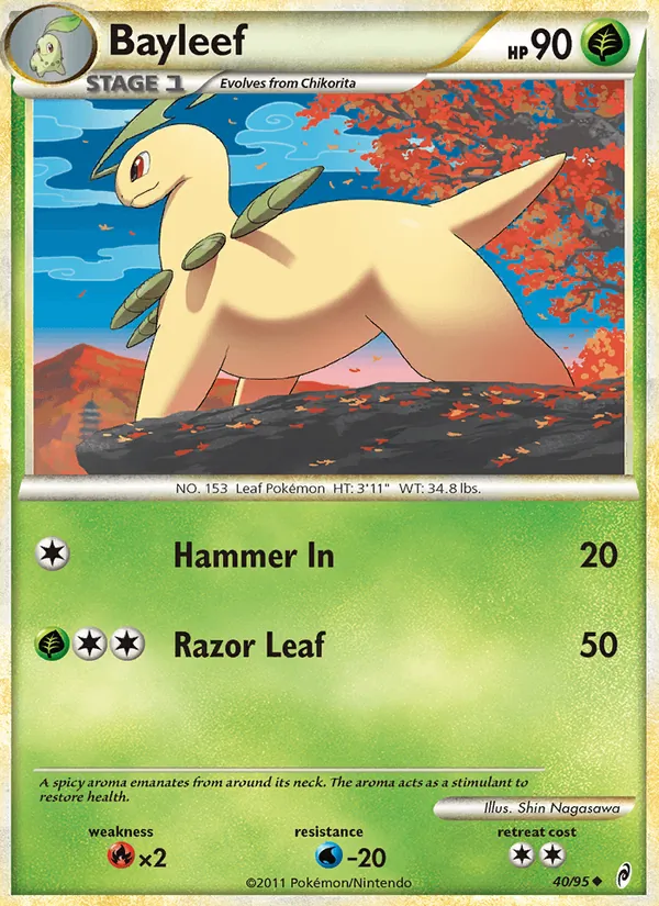 Bayleef 40/95