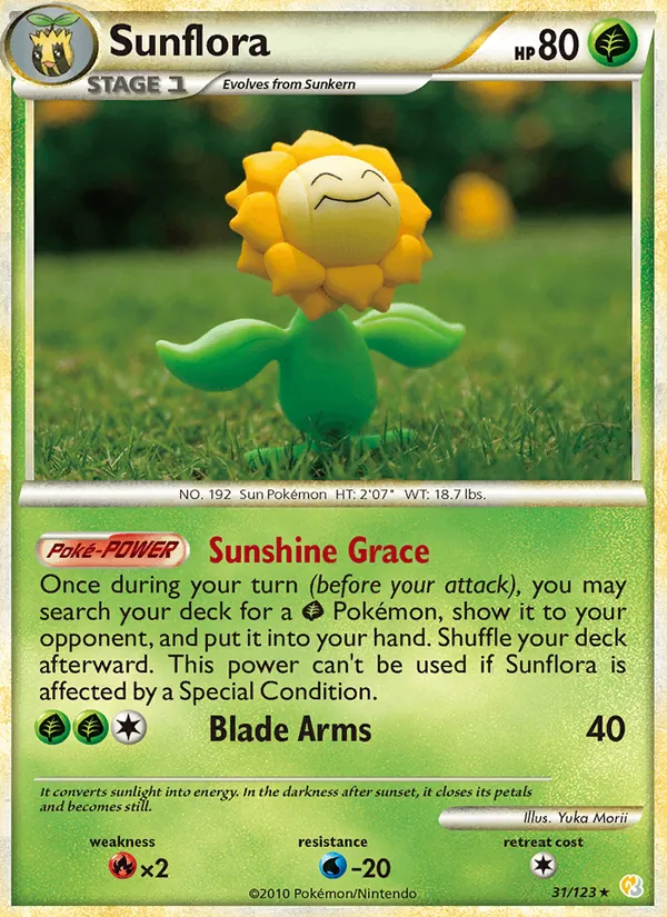 Sunflora 31/123