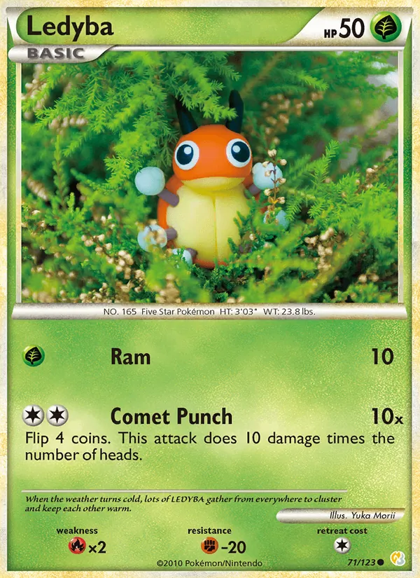 Ledyba 71/123